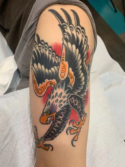 Gallery Ryan Groebler Eagle