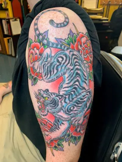 Gallery Ryan Groebler Tiger